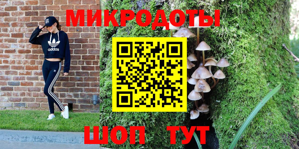 Солнечногорск  Галлюциногенные грибы Psilocybine cubensis  Вход с VPN 